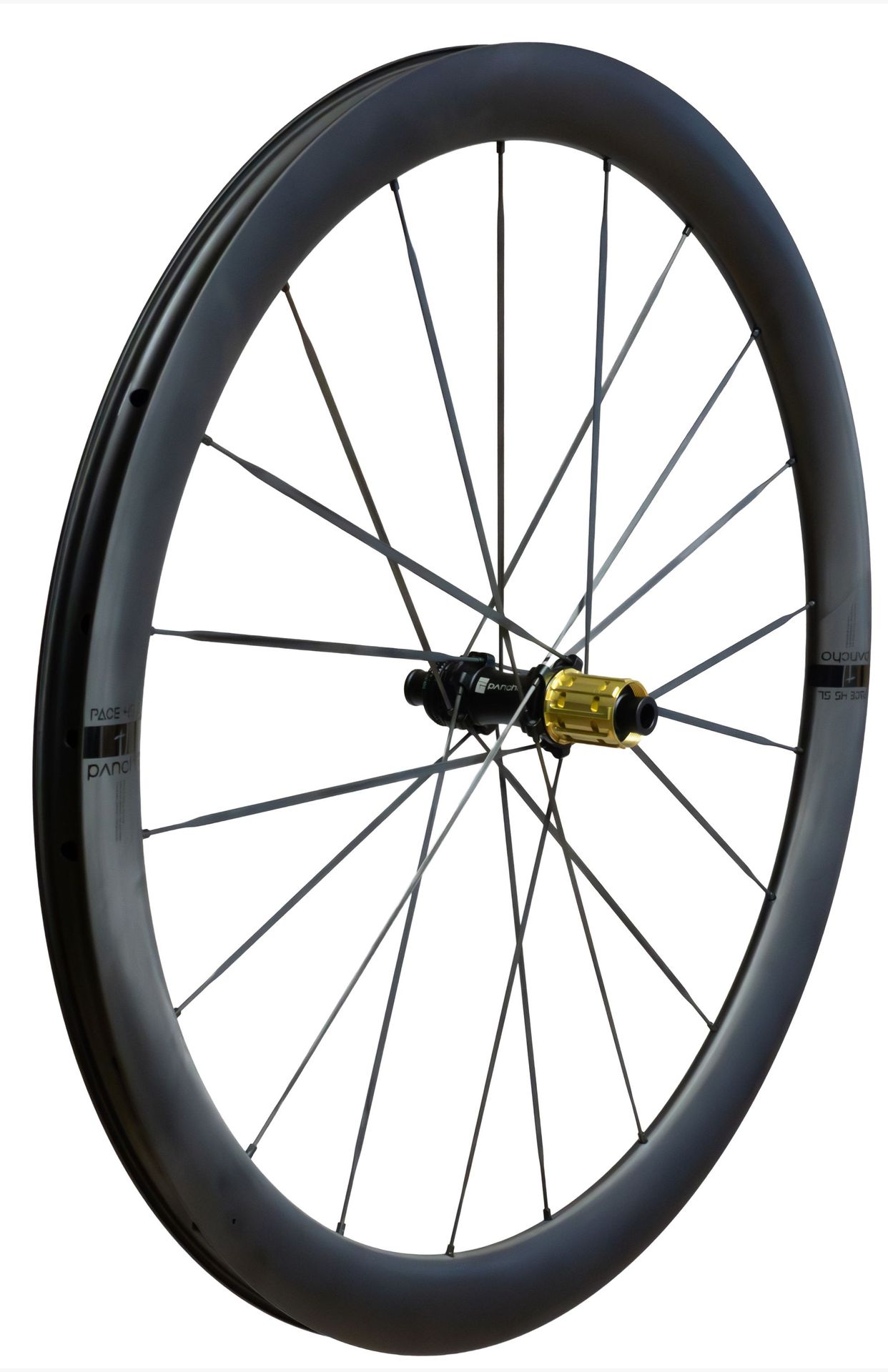 Panchowheels Hinterradrad PACE 45 SL / Pancho Pride Centerlock, 142/12mm,