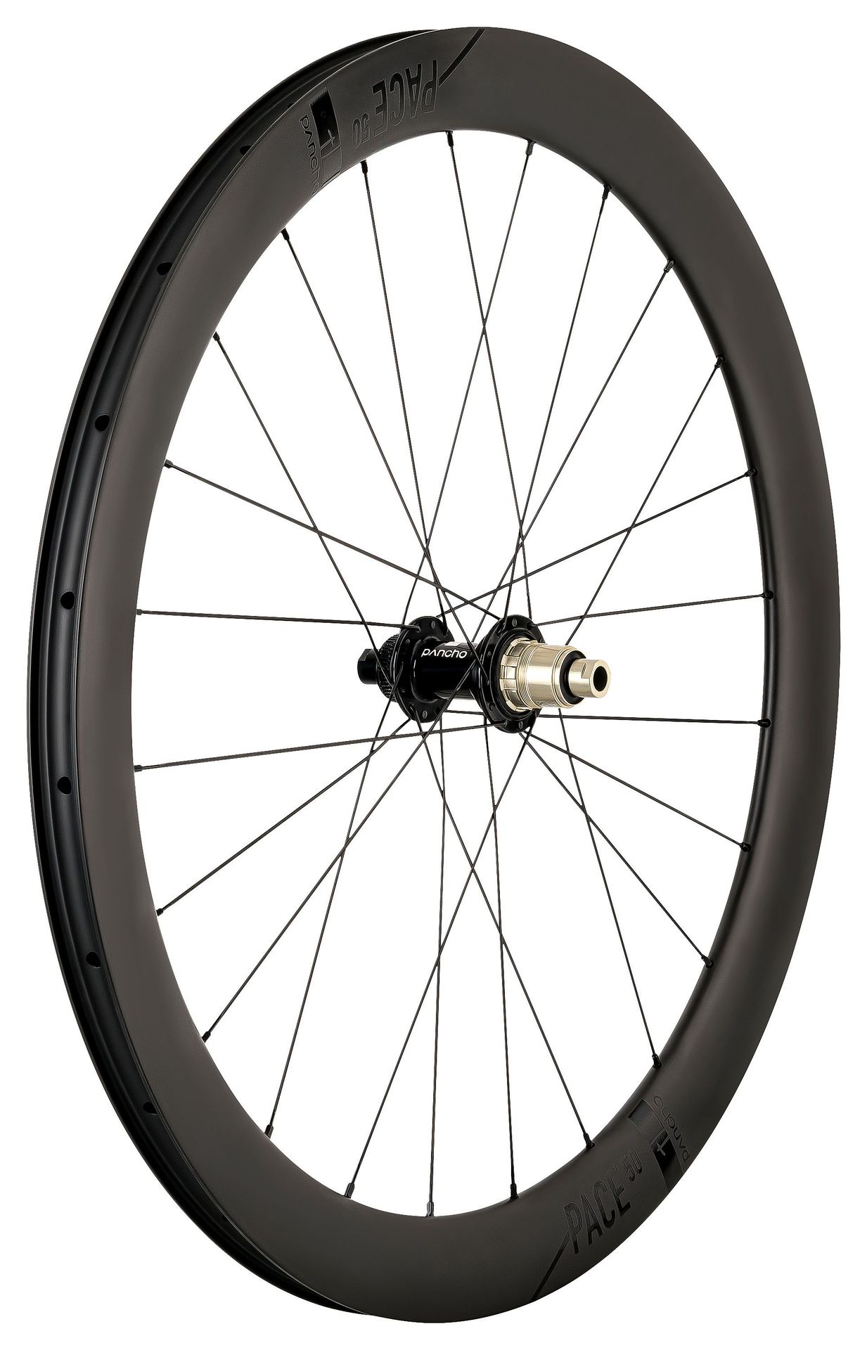 Panchowheels Hinterrad Pace 50 Disc Clincher / Tune Micro Centerlock, 