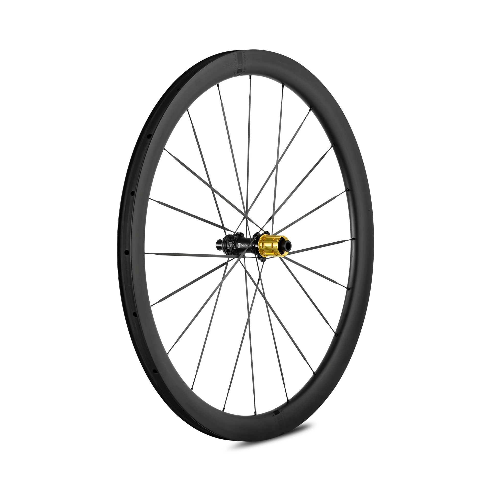 Panchowheels-Panchowheels Hinterrad AURA 42 SL / Pancho Pride Centerlock, 142/12mm, _PW423-HRCLXDR14212_