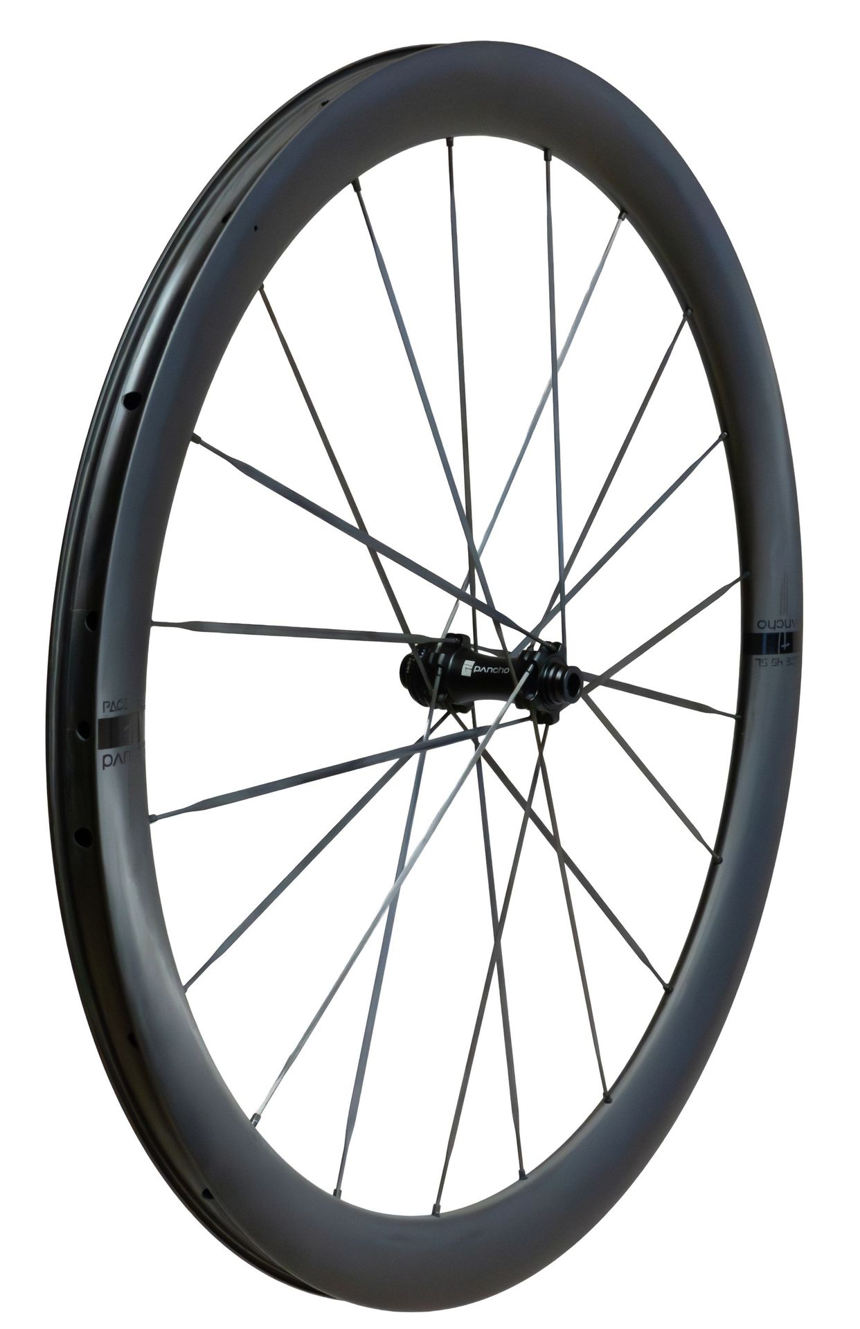 Panchowheels-Panchowheels Vorderrad PACE 45 SL / Pancho Pride Centerlock, 100/12mm _PW421-VRCL12_