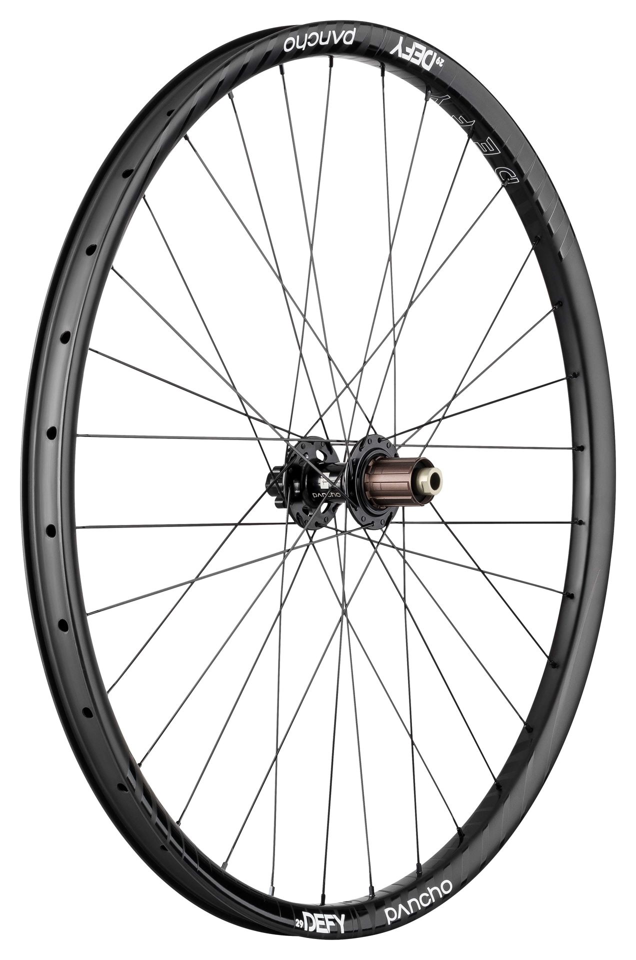 Panchowheels-Panchowheels Hinterrad Defy 29" / Pancho Nabe 6 Loch, 148/12mm Boost, _PW206-HR6LMSBOOST_