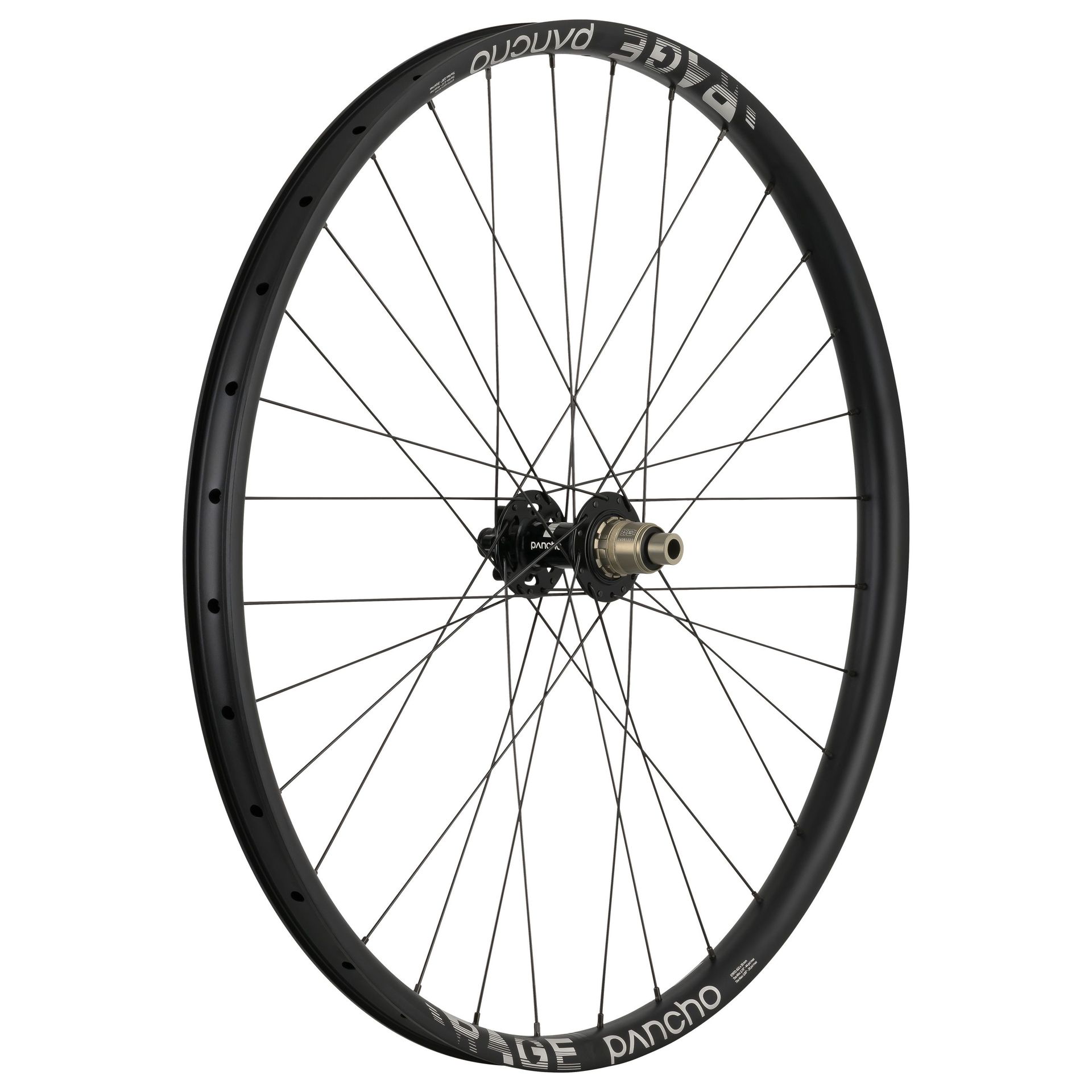Panchowheels-Panchowheels Hinterrad Rage 27.5" / DT Swiss 350, 6 Loch, 157/12mm Boost+, _PW138-HR6LXD15712_