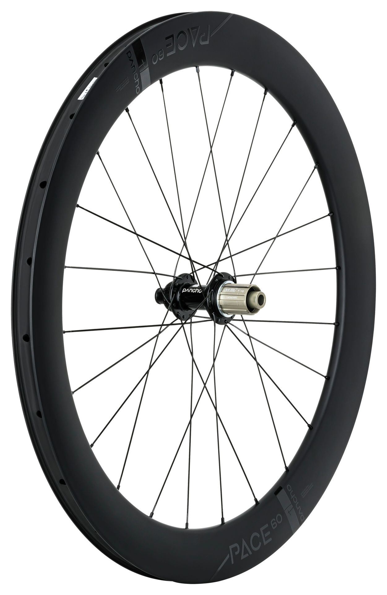 Panchowheels Hinterrad Pace 60 Disc Clincher / Tune Micro Centerlock, 